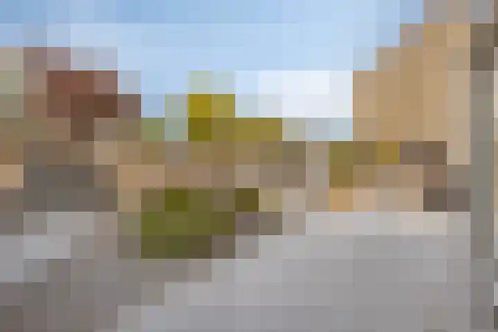 Windhalm 1 Barendrecht thumbnail 32