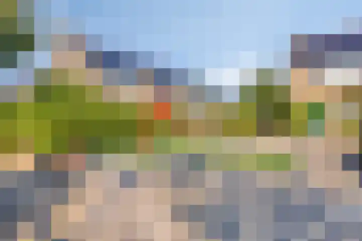 Windhalm 1 Barendrecht thumbnail 37