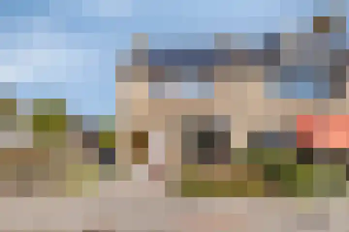 Windhalm 1 Barendrecht thumbnail 39