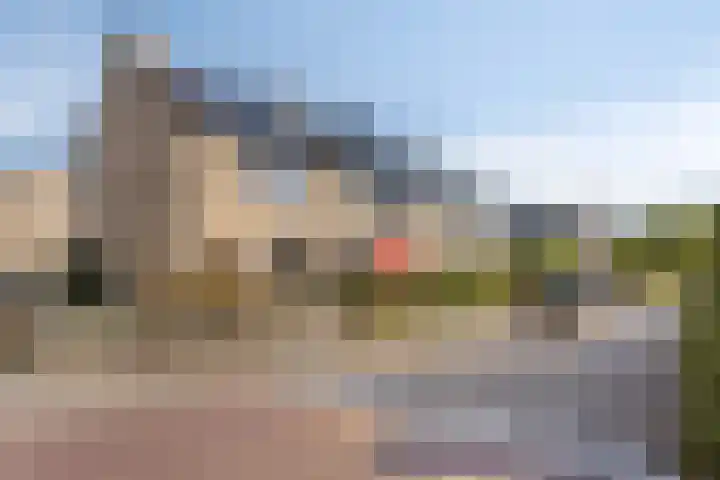 Windhalm 1 Barendrecht thumbnail 40