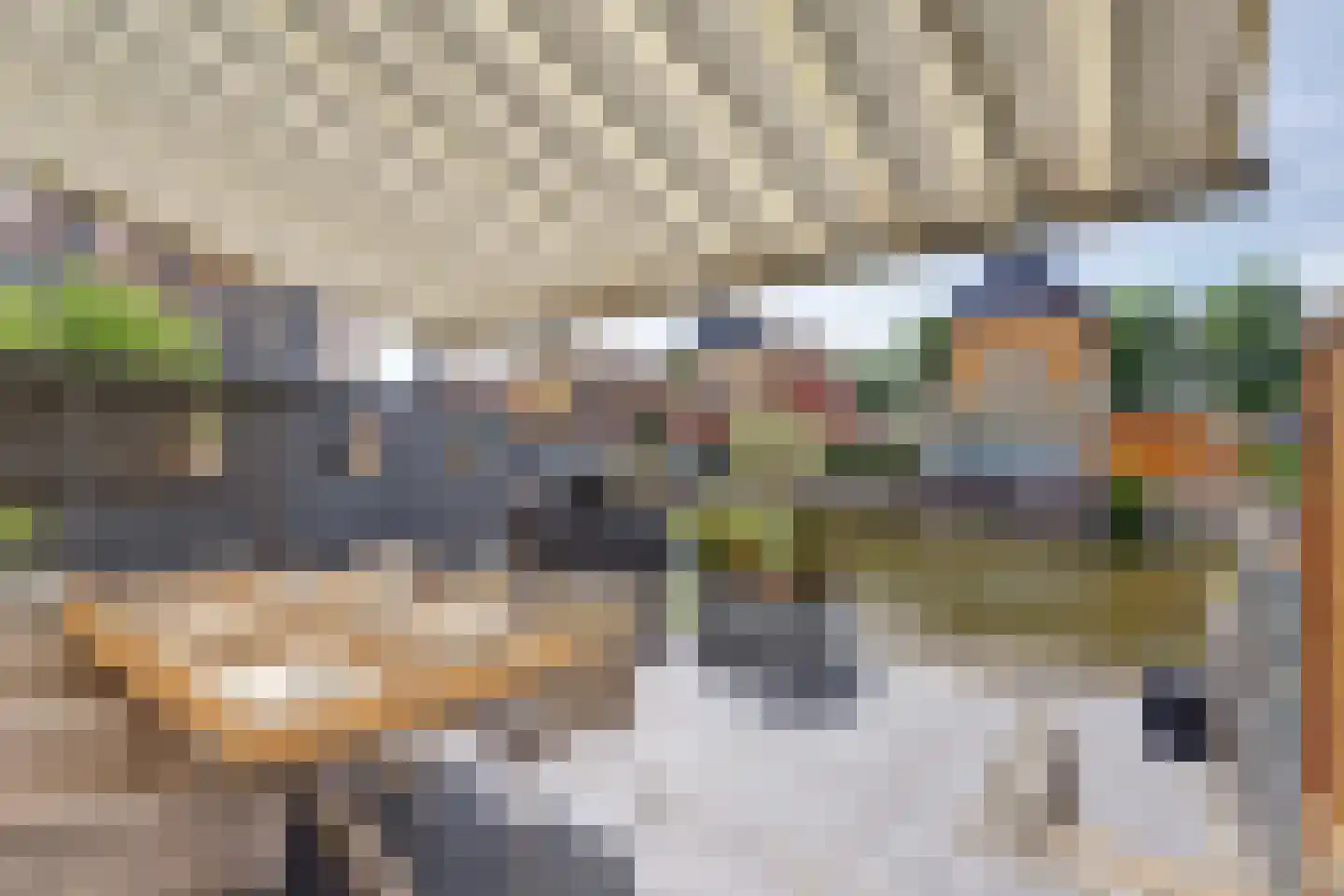 Windhalm 27 Hendrik-Ido-Ambacht thumbnail 30