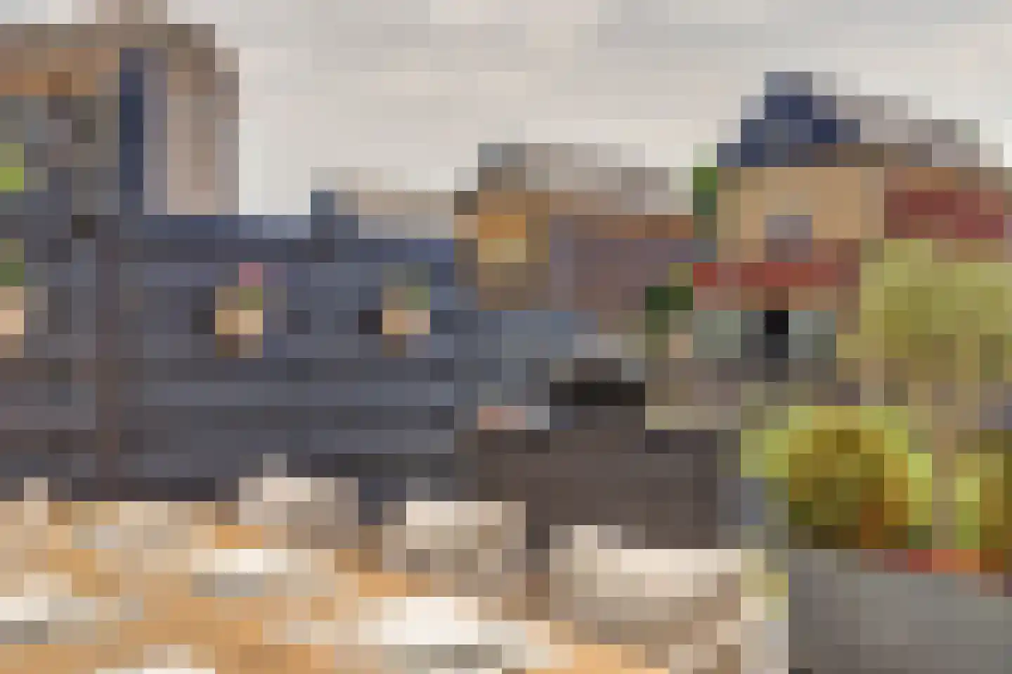 Windhalm 27 Hendrik-Ido-Ambacht thumbnail 31
