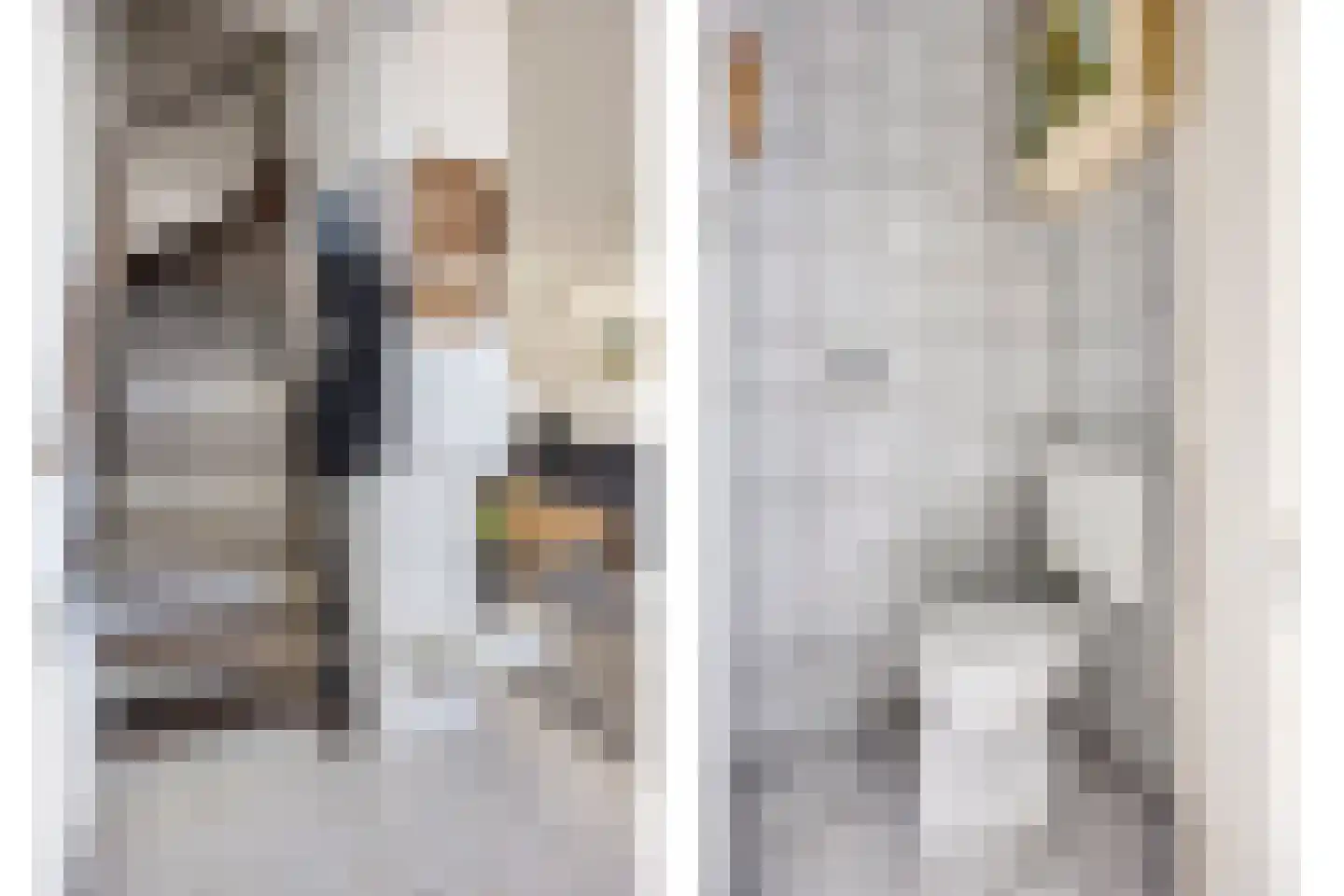 Windhalmstraat 18 Papendrecht thumbnail 6