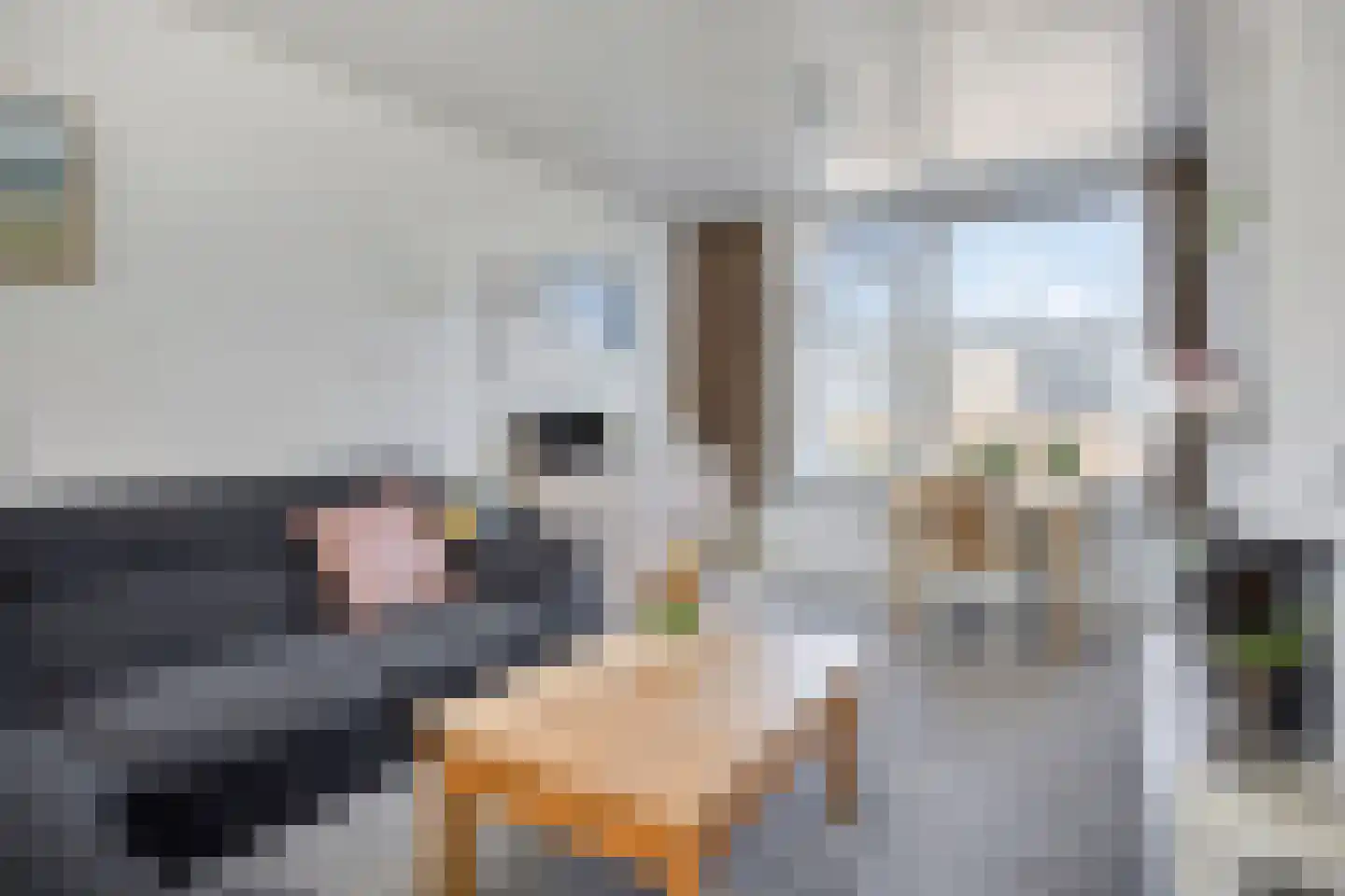 Windhalmstraat 18 Papendrecht thumbnail 7