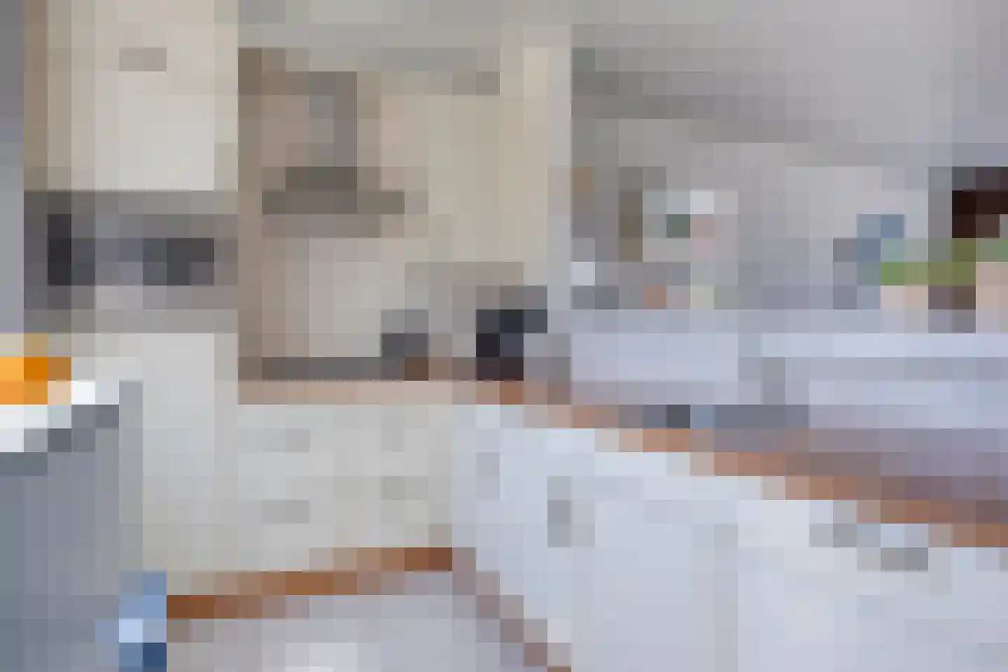 Windhalmstraat 18 Papendrecht thumbnail 8