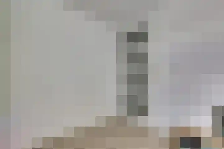 Windhalmstraat 2 Papendrecht thumbnail 20