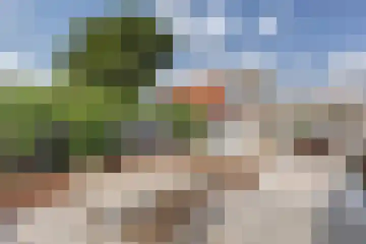 Windhalmstraat 2 Papendrecht thumbnail 25