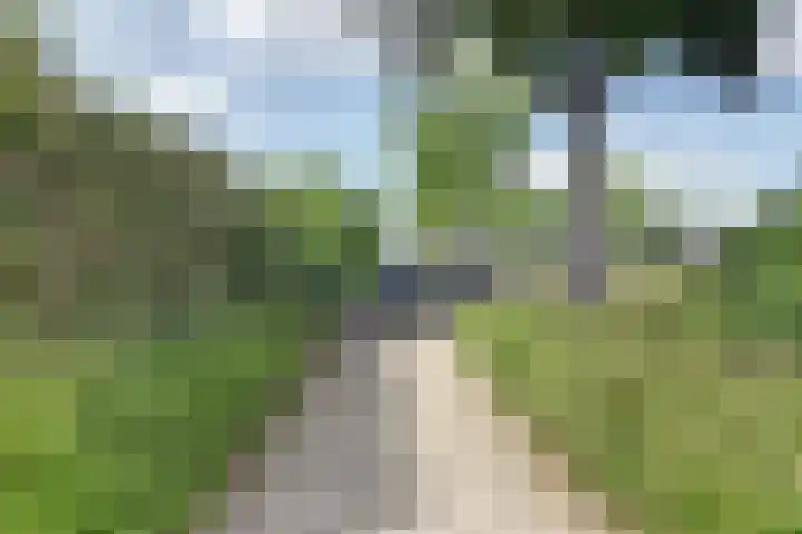 Windhalmstraat 2 Papendrecht thumbnail 32