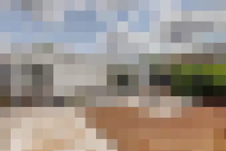 Windhalmstraat 2 Papendrecht thumbnail 38