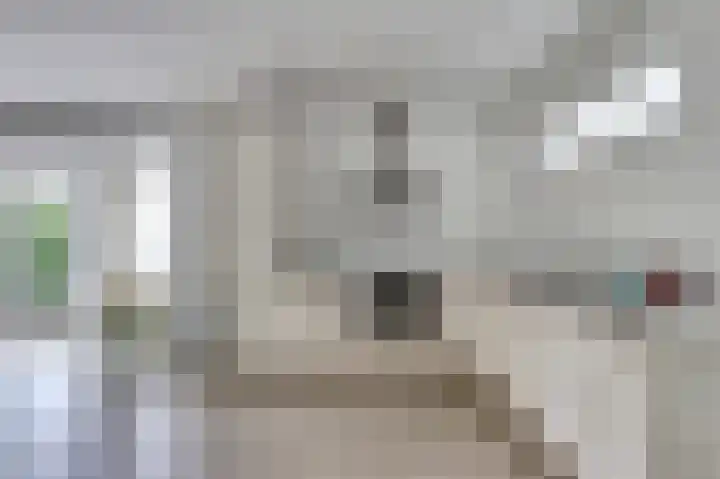 Windhalmstraat 2 Papendrecht thumbnail 9