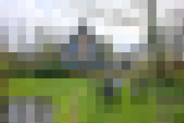 Windheuvelstraat 16 Brummen thumbnail 47