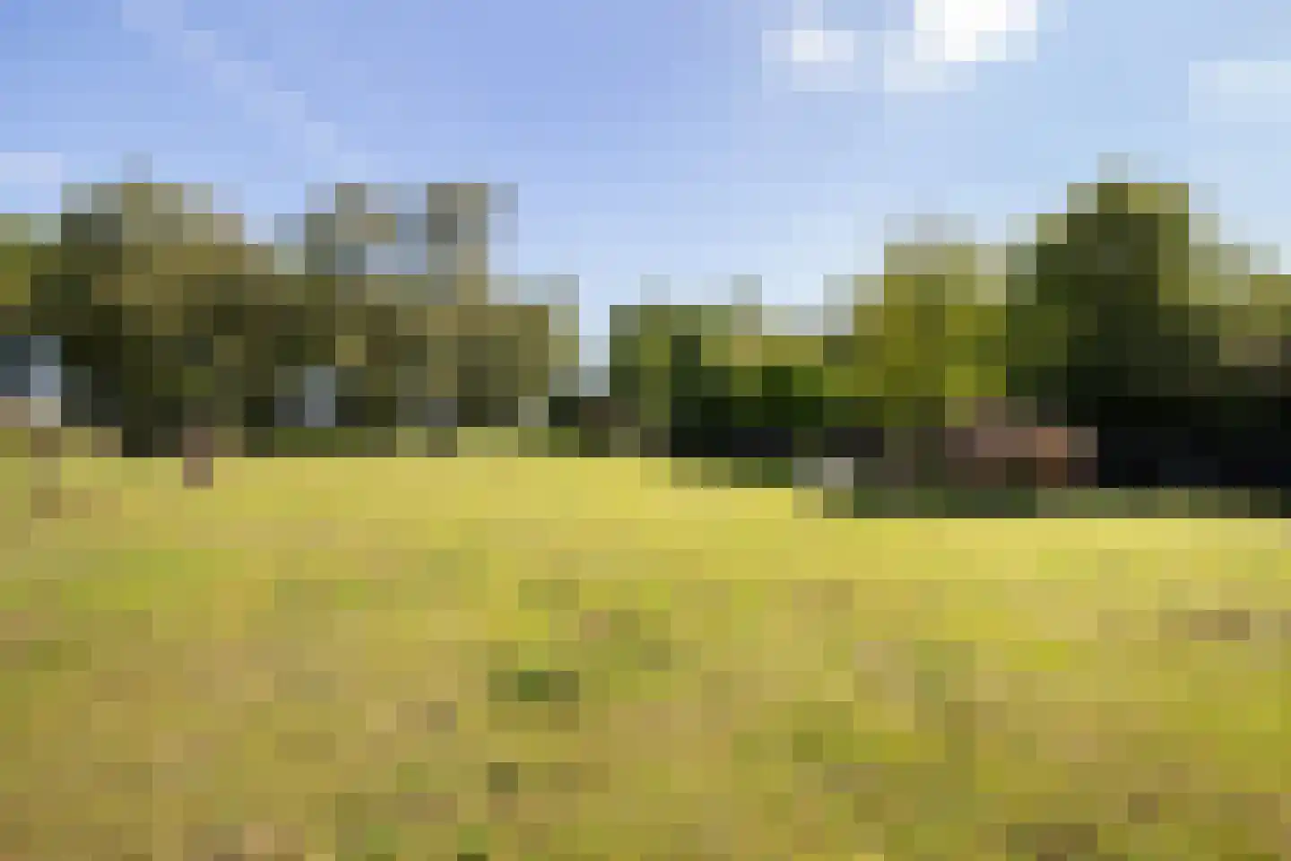 Windhoek 3 Wenum Wiesel thumbnail 75