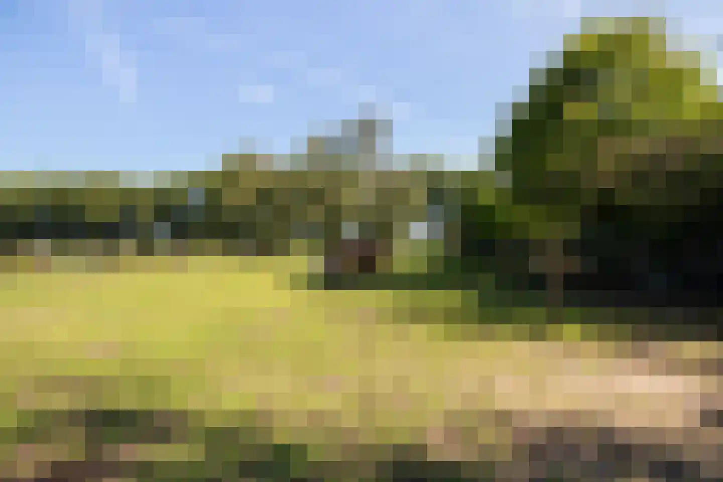 Windhoek 3 Wenum Wiesel thumbnail 76
