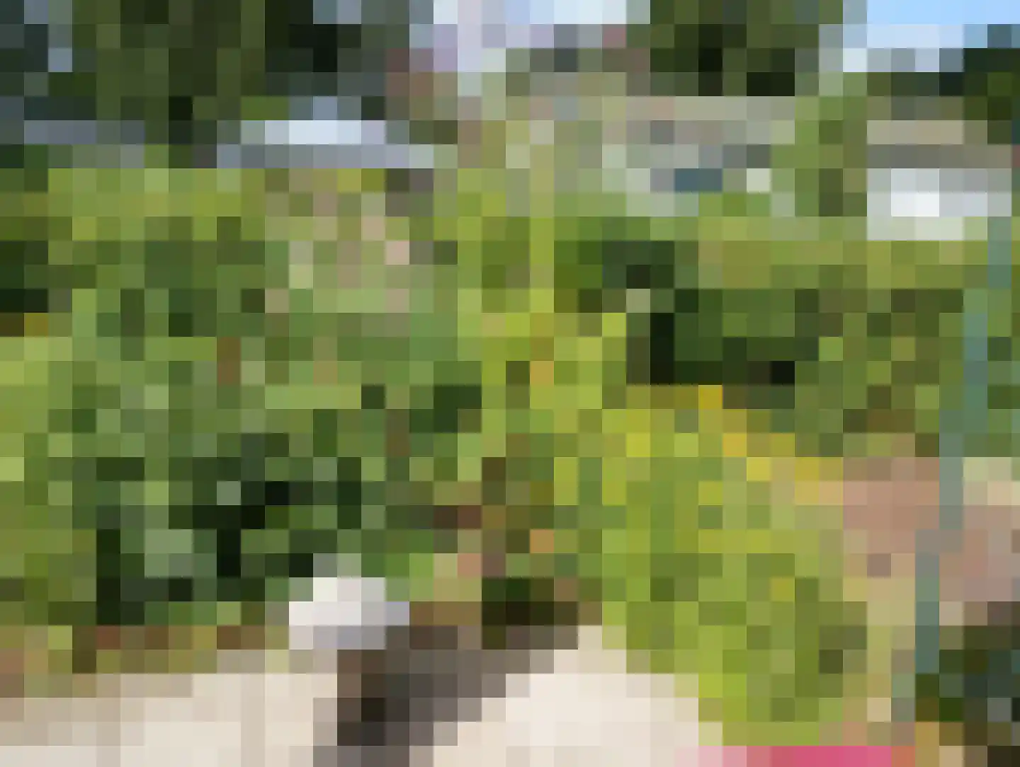 Windhoek 31 Oostvoorne thumbnail 24