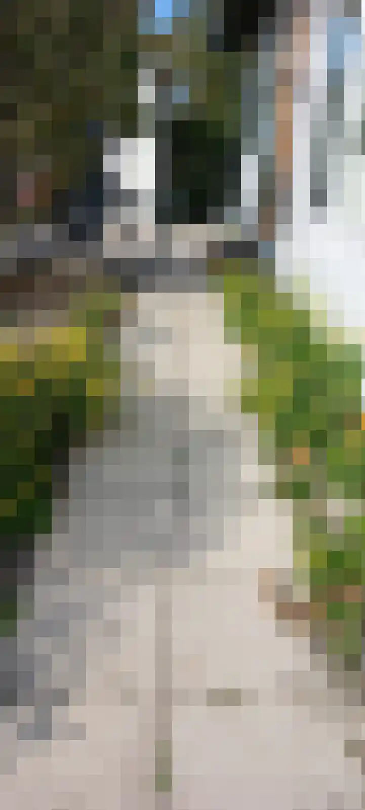 Windhoek 31 Oostvoorne thumbnail 27
