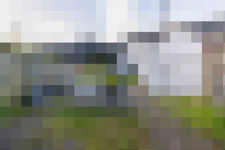 Windhond 13 Tegelen thumbnail 26