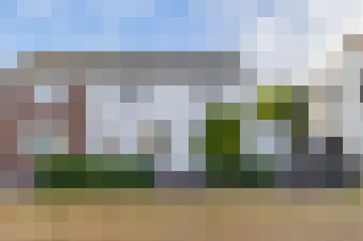 Windhond 13 Tegelen thumbnail 27