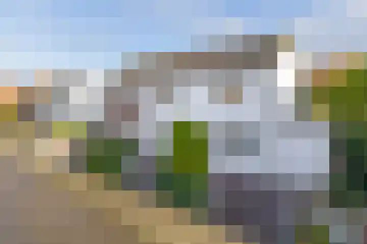 Windhond 13 Tegelen thumbnail 28