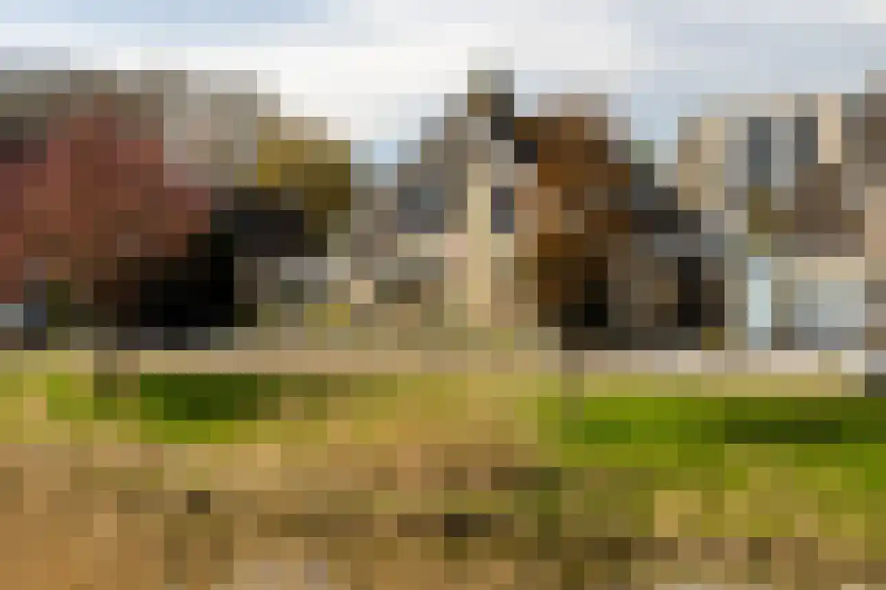 Windjammer 26 in Alphen aan den Rijn