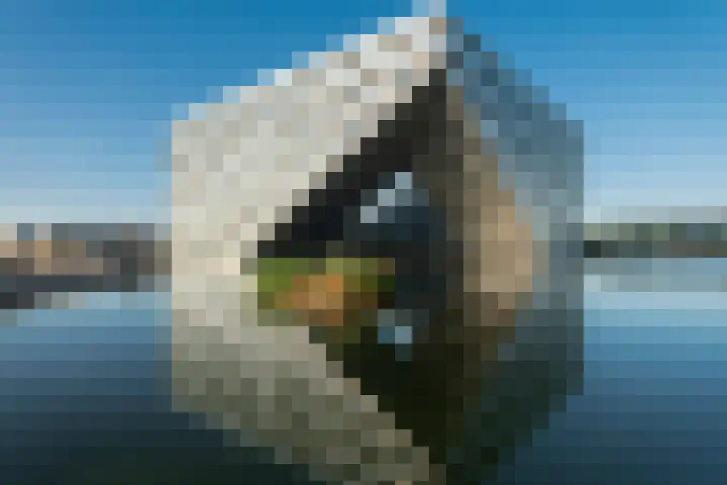 Windjammerdijk 110 Amsterdam thumbnail 39