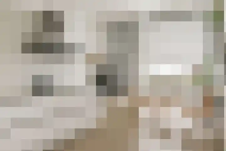 Windjammerdijk 40 Amsterdam foto 2