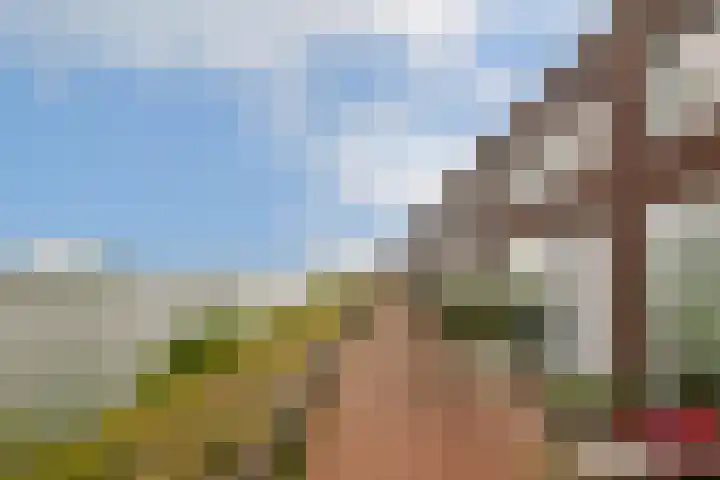 Windjammerdijk 40 Amsterdam thumbnail 49