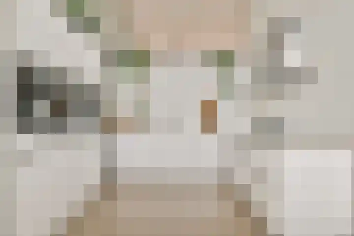 Windjammerdijk 40 Amsterdam thumbnail 6