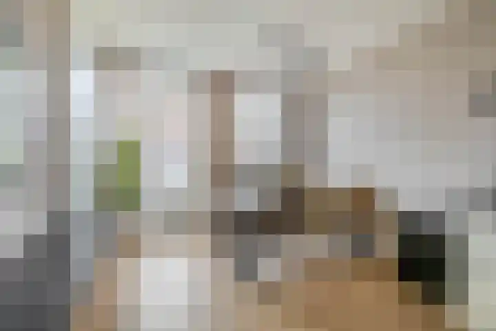 Windkracht 1 Lisse thumbnail 15
