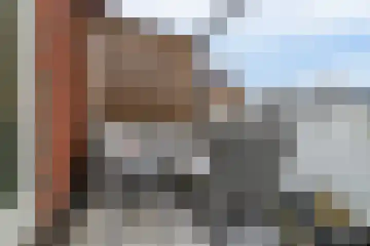 Windkracht 1 Lisse thumbnail 18