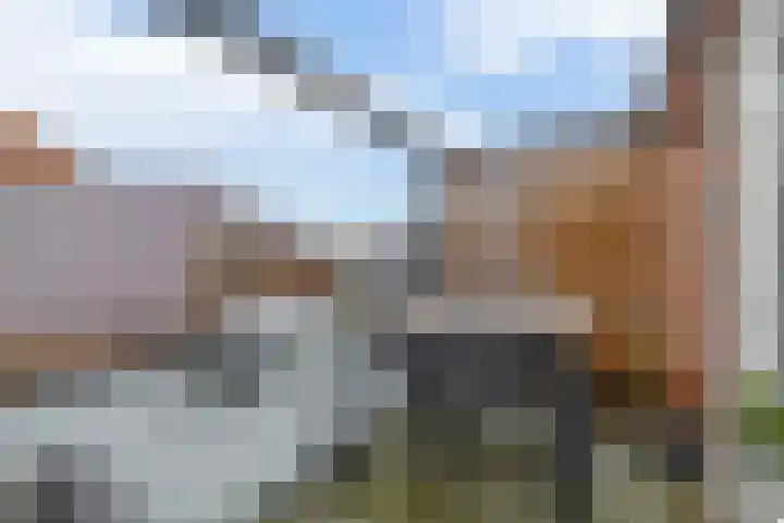 Windkracht 1 Lisse thumbnail 19
