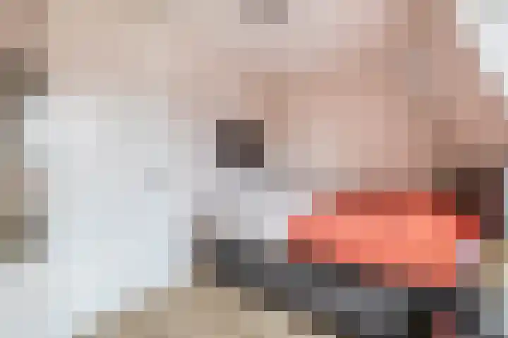 Windkracht 1 Lisse thumbnail 22