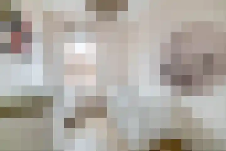 Windkracht 1 Lisse thumbnail 23