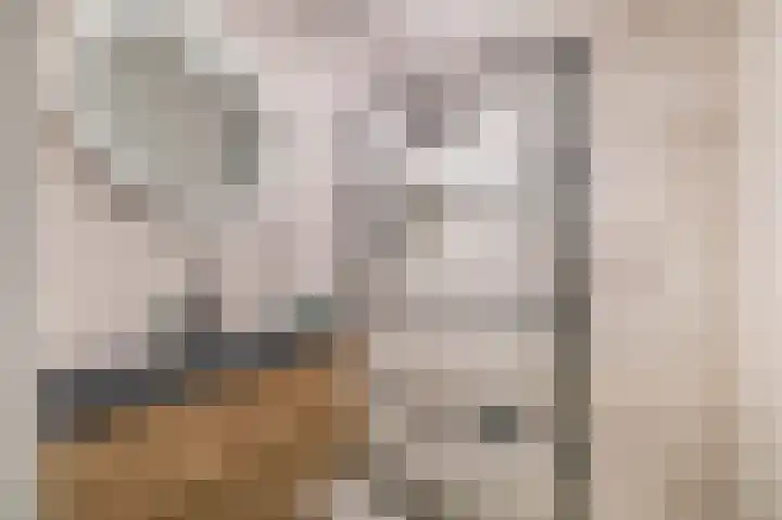 Windkracht 1 Lisse thumbnail 25