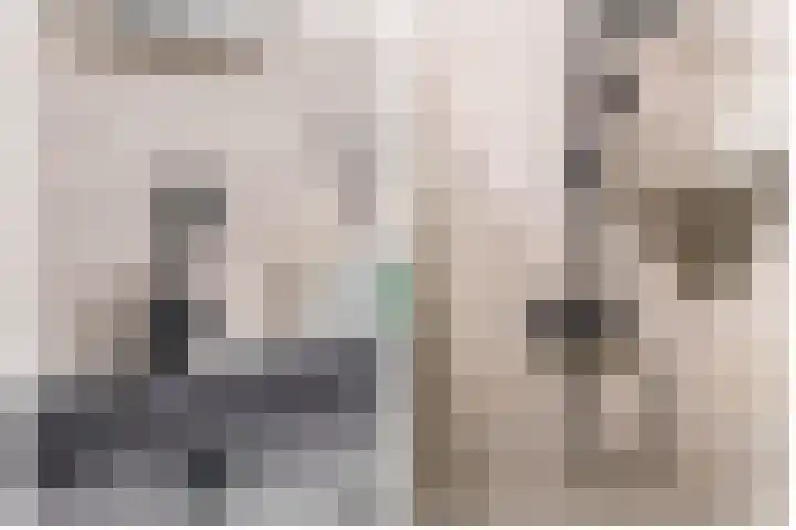Windkracht 1 Lisse thumbnail 27