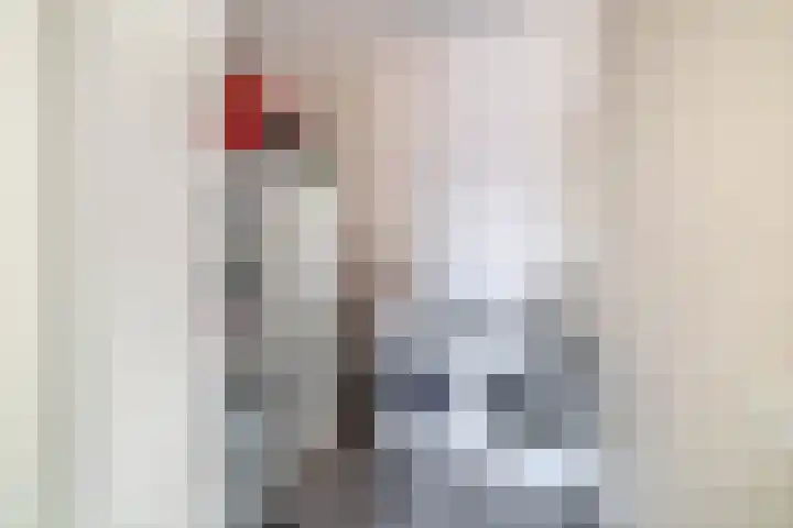 Windkracht 1 Lisse thumbnail 28