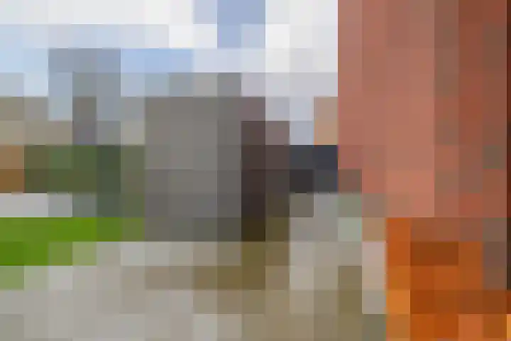 Windkracht 1 Lisse thumbnail 29