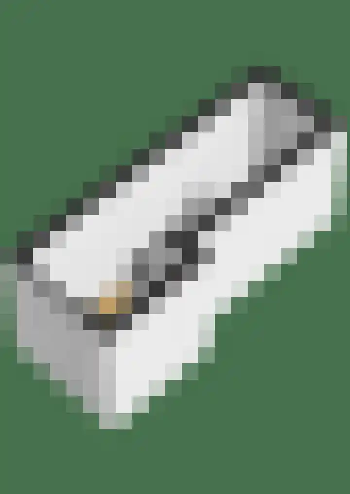 Windkracht 1 Lisse thumbnail 41
