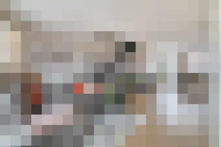 Windkracht 1 Lisse thumbnail 9