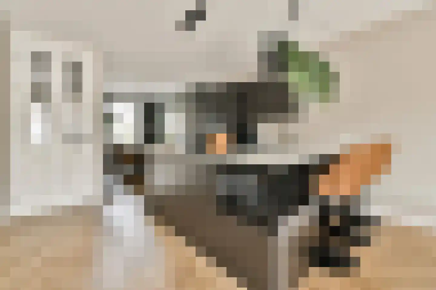Windkracht 21 Lisse thumbnail 4