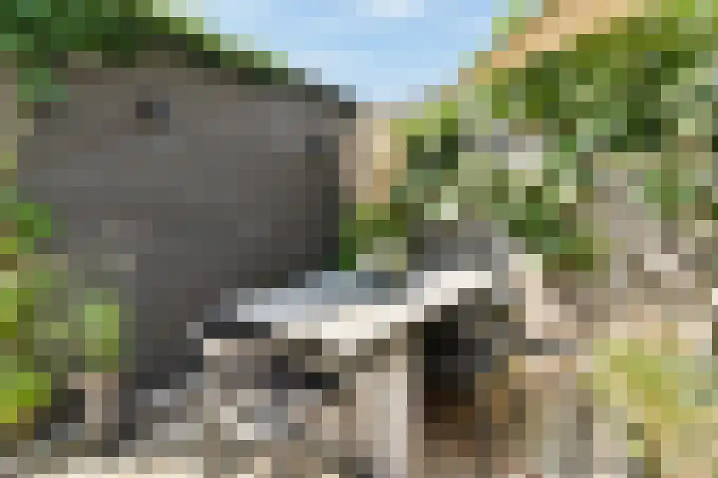 Windkracht 4 Lisse thumbnail 16