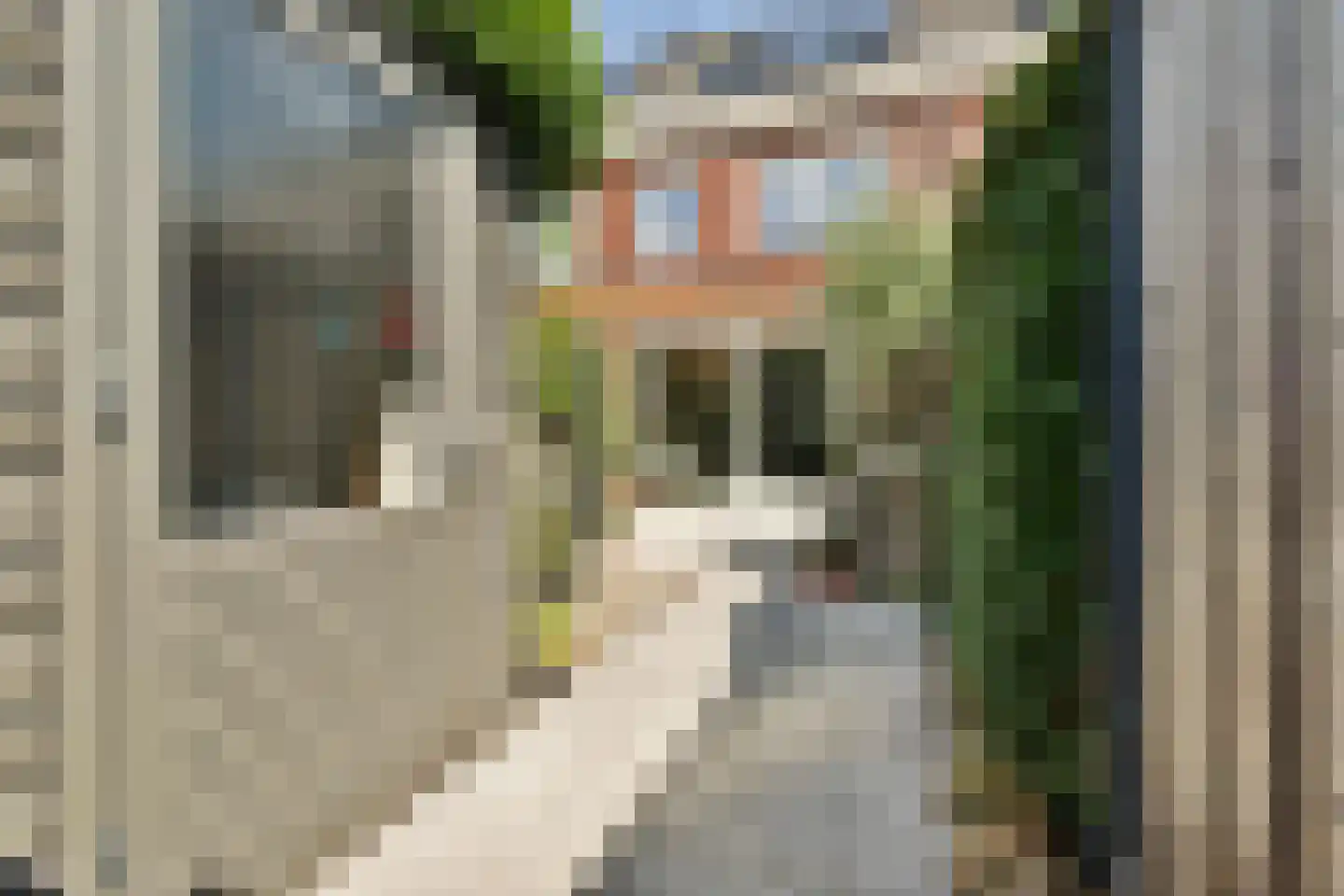 Windkracht 4 Lisse thumbnail 17
