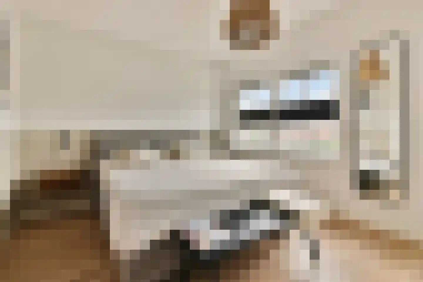 Windkracht 4 Lisse thumbnail 20