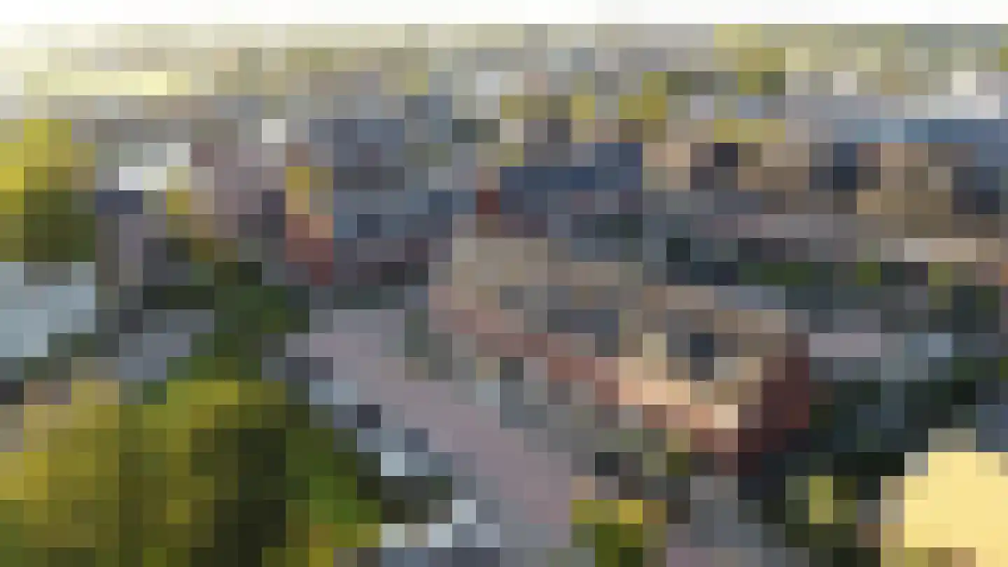 Windkracht 4 Lisse thumbnail 34