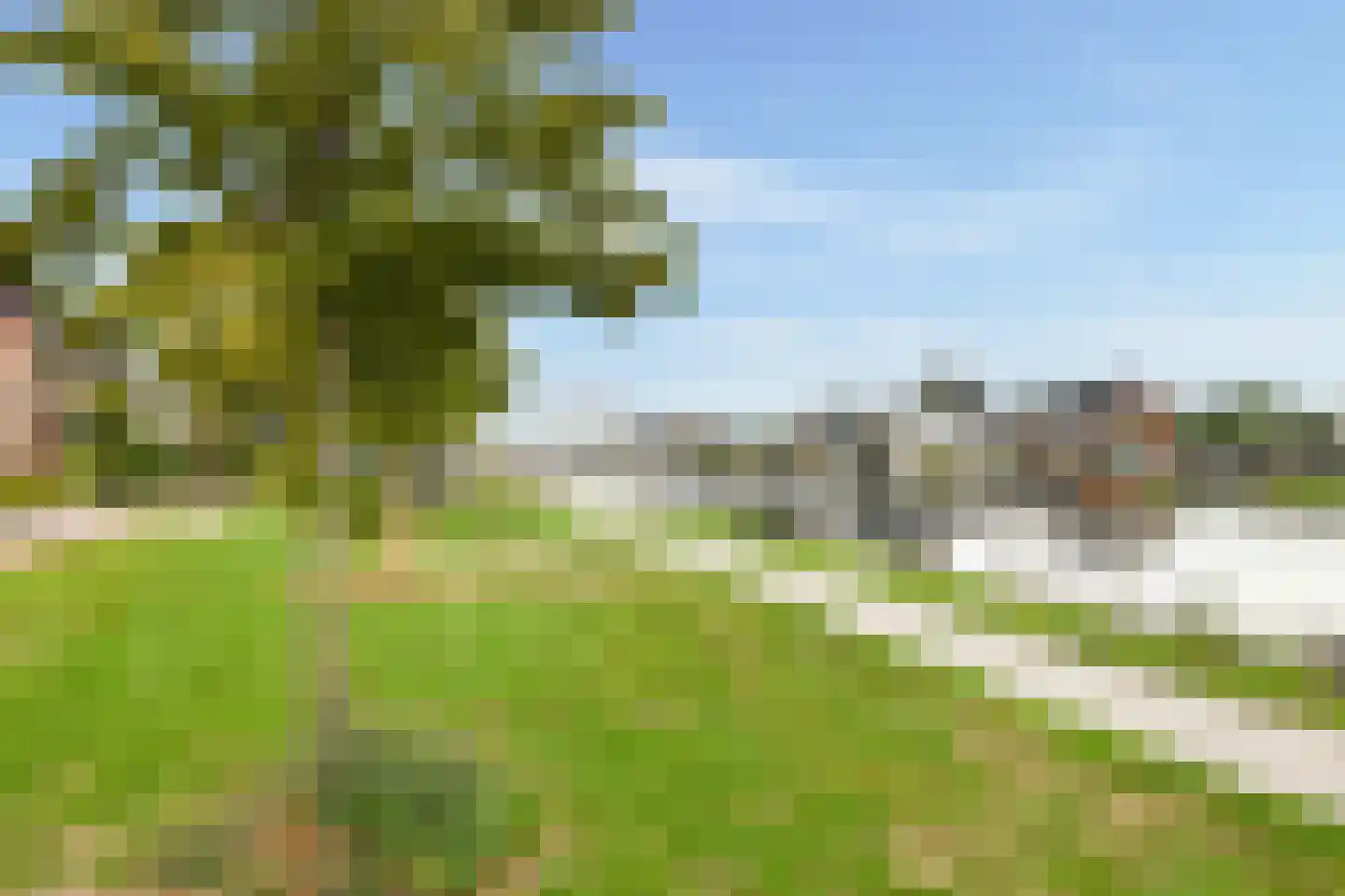 Windkracht 4 Lisse thumbnail 37