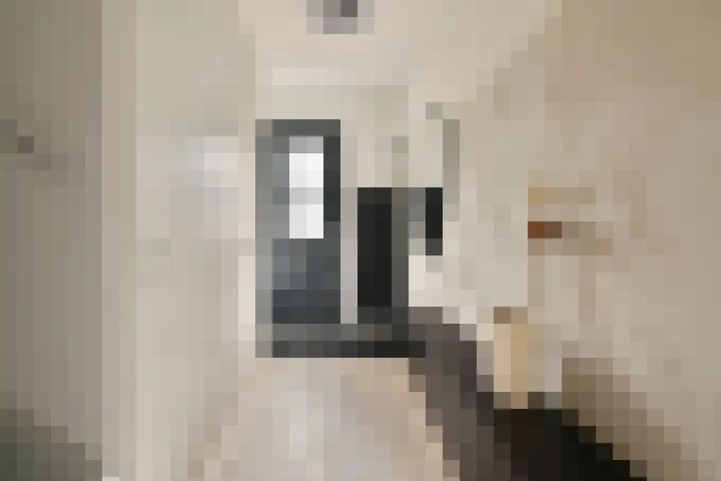 Windkracht 4 Lisse thumbnail 4
