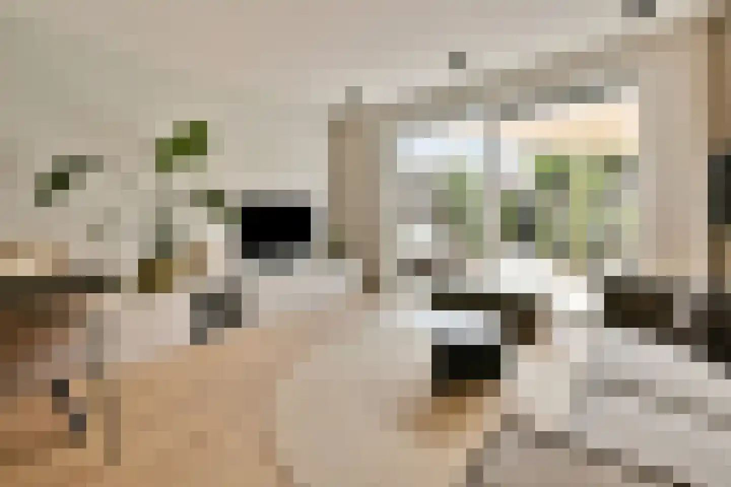 Windkracht 4 Lisse thumbnail 5