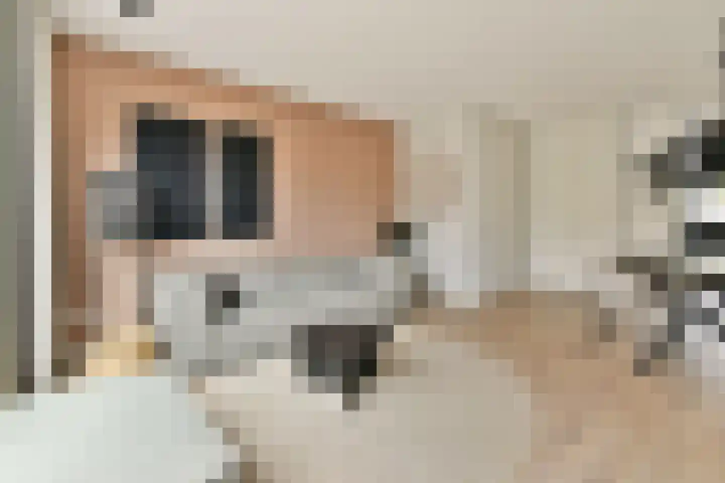 Windkracht 4 Lisse thumbnail 6