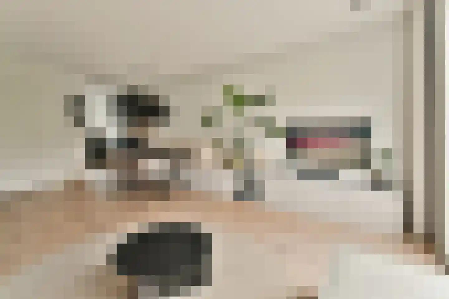 Windkracht 4 Lisse thumbnail 7