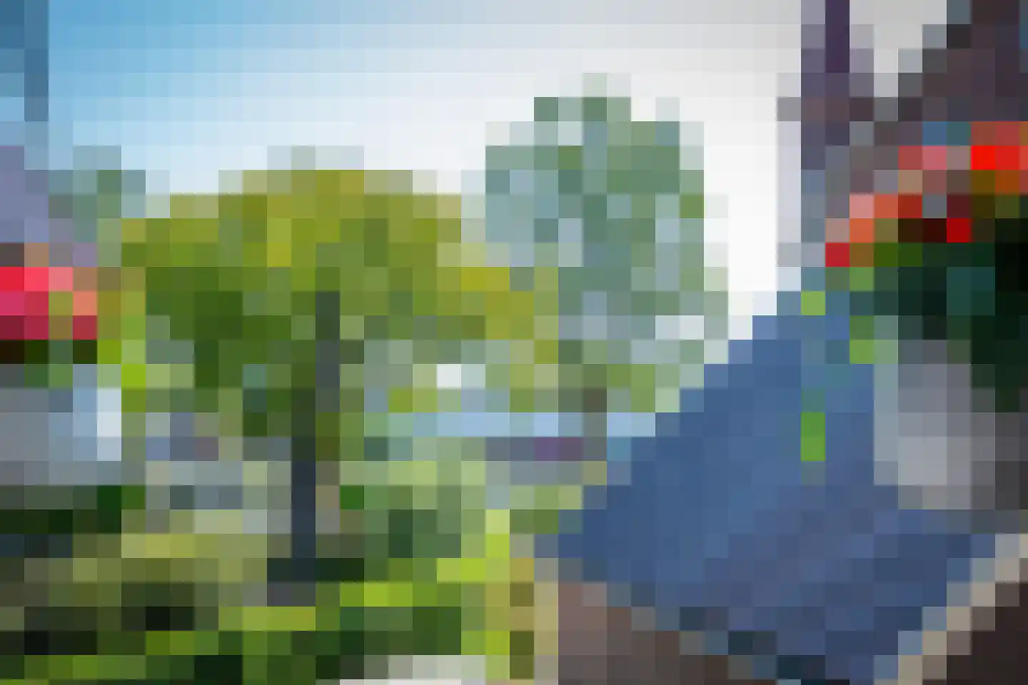 Windkracht 5 Lisse thumbnail 19