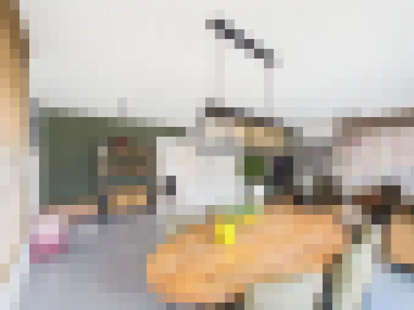 Windlustlaan 5 Hoek thumbnail 11